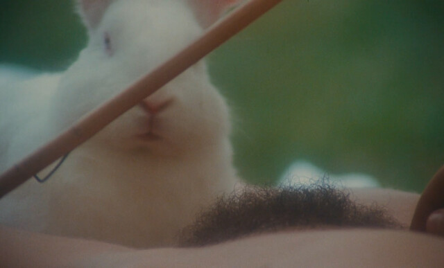 Marina Pierro nude, Gaelle Legrand nude, Pascale Christophe nude – Les heroines du mal (1979)