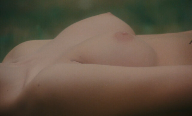 Marina Pierro nude, Gaelle Legrand nude, Pascale Christophe nude – Les heroines du mal (1979)