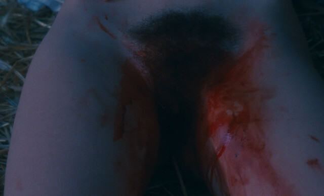 Marina Pierro nude, Gaelle Legrand nude, Pascale Christophe nude – Les heroines du mal (1979)