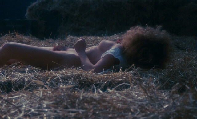 Marina Pierro nude, Gaelle Legrand nude, Pascale Christophe nude – Les heroines du mal (1979)
