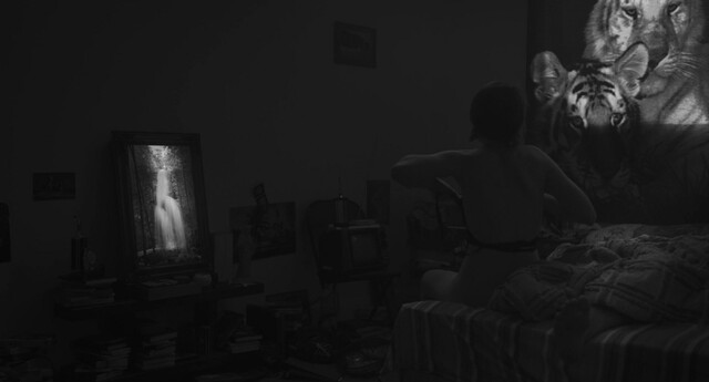 Julianne Cote nude, Catherine St-Laurent sexy – Tu dors Nicole (2014)