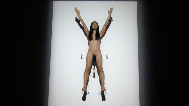 Marina Abramovic nude, Josephine Decker nude, etc. – Marina Abramovic The Artist Is Present (2012)
