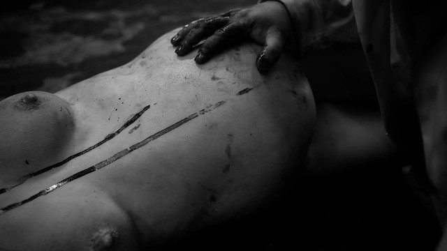 Ashlynn Yennie nude, Katherine Templar nude, Georgia Goodrick nude, Emma Lock nude, Maddi Black nude, Kandace Caine nude – The Human Centipede II (Full Sequence) (2011)