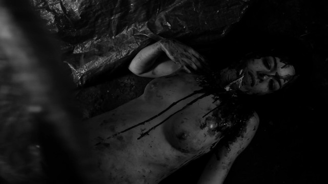 Ashlynn Yennie nude, Katherine Templar nude, Georgia Goodrick nude, Emma Lock nude, Maddi Black nude, Kandace Caine nude – The Human Centipede II (Full Sequence) (2011)