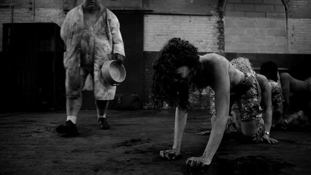 Ashlynn Yennie nude, Katherine Templar nude, Georgia Goodrick nude, Emma Lock nude, Maddi Black nude, Kandace Caine nude – The Human Centipede II (Full Sequence) (2011)