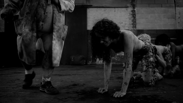 Ashlynn Yennie nude, Katherine Templar nude, Georgia Goodrick nude, Emma Lock nude, Maddi Black nude, Kandace Caine nude – The Human Centipede II (Full Sequence) (2011)