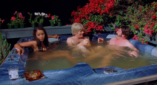 Anna Biller nude, Bridget Brno nude, Lola Kelly nude, Carol Holst nude, Andrea Lain nude – Viva (2007)