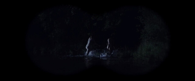 Anna Kamenikova (Anna Linhartova) nude, Eva Holubova sexy – Cesta do lesa (2012)