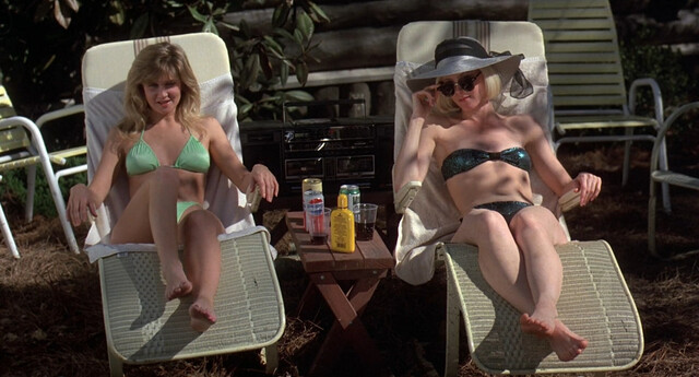 Heidi Kozak nude, Elizabeth Kaitan nude, Susan Jennifer Sullivan sexy – Friday the 13th Part VII: The New Blood (1988)