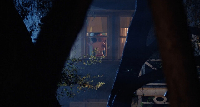 Camilla More nude, Barbara Howard nude, Judie Aronson nude, Carey More nude, Kimberly Beck nude – Friday the 13th: The Final Chapter (1984)