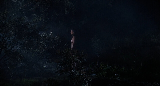 Camilla More nude, Barbara Howard nude, Judie Aronson nude, Carey More nude, Kimberly Beck nude – Friday the 13th: The Final Chapter (1984)