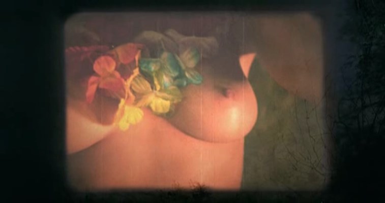 Nude Video Celebs Karin Viard Nude La Tete De Maman 2007 