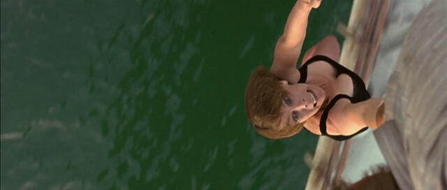 Jamie Lee Curtis sexy, Tia Carrere sexy – True Lies (1994)