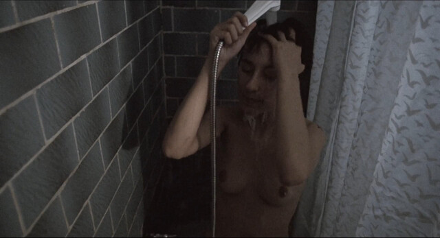 Sibel Kekilli nude – Gegen die wand (2004)