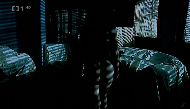 Jana Janekova nude – Stribrna vune mrazu (2005)