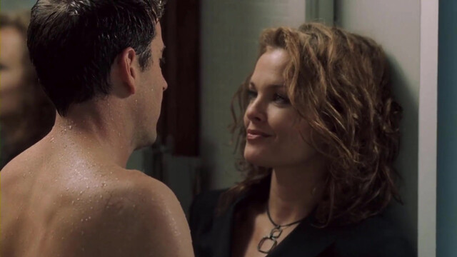 Dina Meyer sexy - Crimes of Passion (2005)