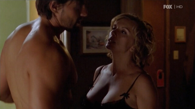 Teryl Rothery nude - The Guard s01-02 (2008-2009)