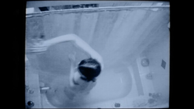 Angie Harmon nude - Video Voyeur The Susan Wilson Story (2002)