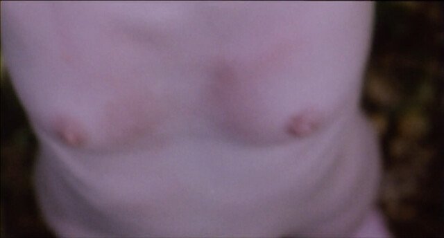 Anna Gorynsztejn nude – Belle de nature (2009)