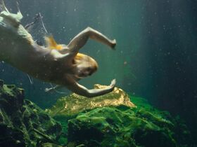 Unknown nude – Rheingold (2022)