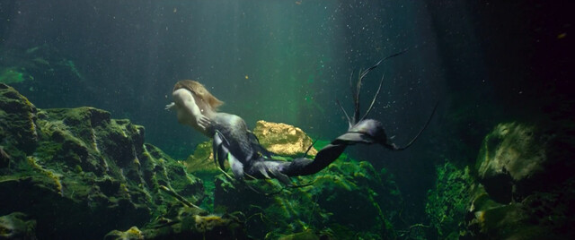 Unknown nude – Rheingold (2022)