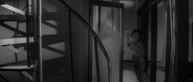 Mariko Ogawa nude - Branded to Kill (1967)