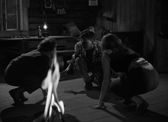 Liv Ullmann nude – The Wayward Girl (Ung flukt) (1959)