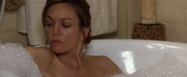 Diane Lane nude – Must Love Dogs (2005)