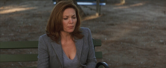 Diane Lane nude – Must Love Dogs (2005)
