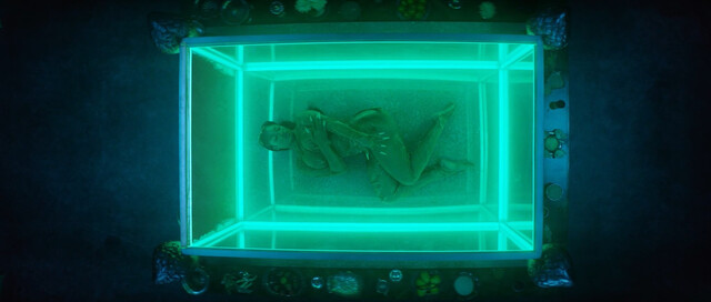 Megan Thee Stallion nude – Cobra (2024)