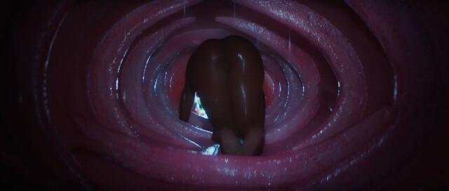 Megan Thee Stallion nude – Cobra (2024)
