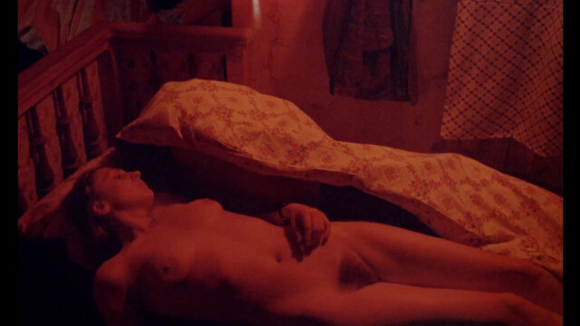Elisabeth Stepanek nude – Die Berührte (1981)