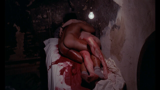 Elisabeth Stepanek nude – Die Berührte (1981)