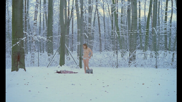 Elisabeth Stepanek nude – Die Berührte (1981)