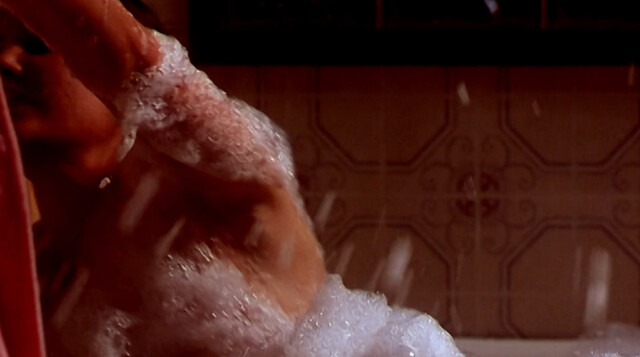 Katherine Heigl nude, Meredith Salenger sexy – Bug Buster (1998)