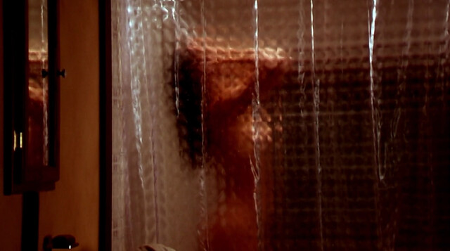 Katherine Heigl nude, Meredith Salenger sexy – Bug Buster (1998)