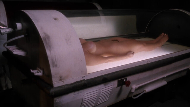 Maureen Flaherty nude – Shadowzone (1990)