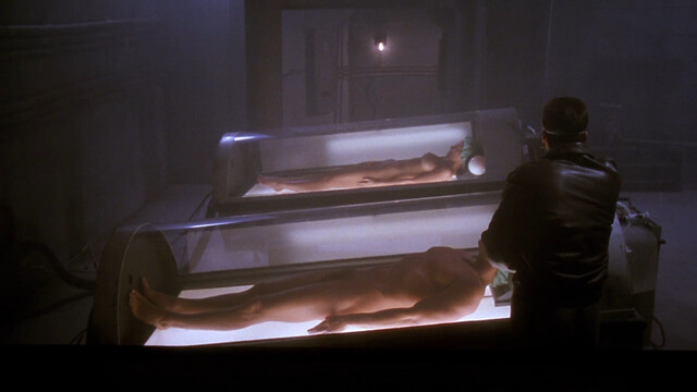 Maureen Flaherty nude – Shadowzone (1990)