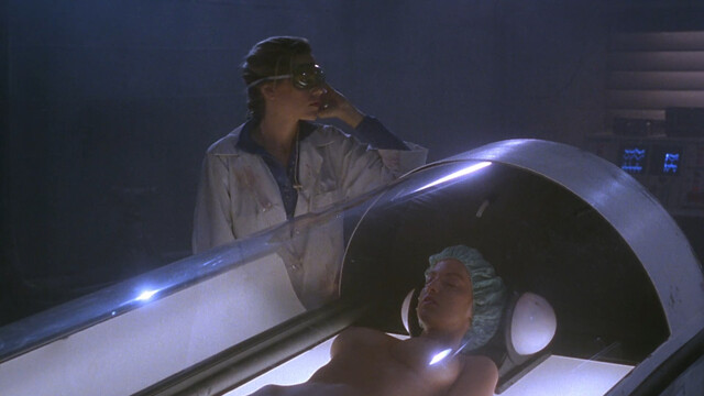 Maureen Flaherty nude – Shadowzone (1990)