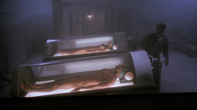 Maureen Flaherty nude – Shadowzone (1990)