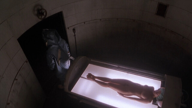 Maureen Flaherty nude – Shadowzone (1990)