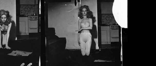 Shere Hite nude – The Disappearance of Shere Hite (2023)