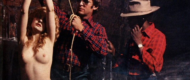 Shere Hite nude – The Disappearance of Shere Hite (2023)