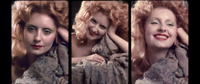 Shere Hite nude – The Disappearance of Shere Hite (2023)