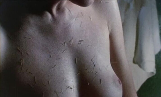 Phyllis Logan nude - Another Time Another Place (1983)