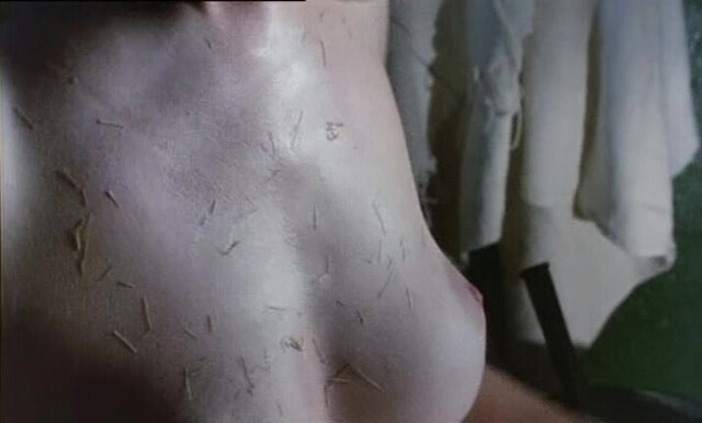 Phyllis Logan nude - Another Time Another Place (1983)