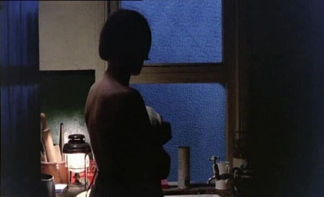 Phyllis Logan nude - Another Time Another Place (1983)