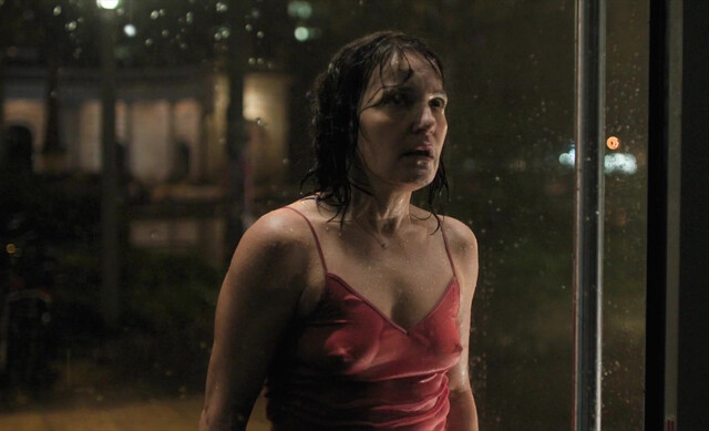 Nicolette Krebitz nude - Das Licht (2025)