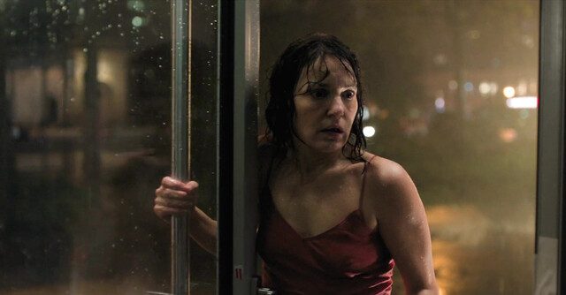 Nicolette Krebitz nude - Das Licht (2025)