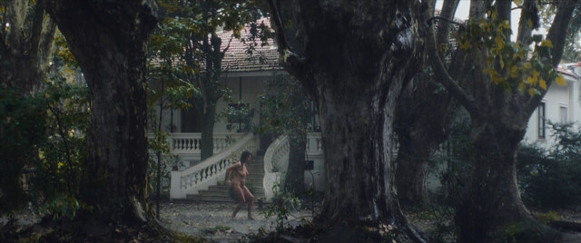 Katja Alemann nude – Southern Storm (La sudestada) (2023)